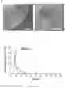 Fig. 03 - NUCLEAR-DERIVED EXOSOMES AND METHODS OF USE THEREOF