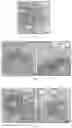 Fig. 23 - NUCLEAR-DERIVED EXOSOMES AND METHODS OF USE THEREOF