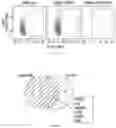 Fig. 30 - NUCLEAR-DERIVED EXOSOMES AND METHODS OF USE THEREOF
