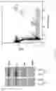 Fig. 33 - NUCLEAR-DERIVED EXOSOMES AND METHODS OF USE THEREOF