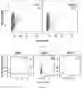 Fig. 41 - NUCLEAR-DERIVED EXOSOMES AND METHODS OF USE THEREOF