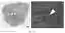 Fig. 48 - NUCLEAR-DERIVED EXOSOMES AND METHODS OF USE THEREOF