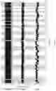 Fig. 51 - NUCLEAR-DERIVED EXOSOMES AND METHODS OF USE THEREOF