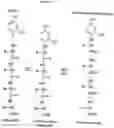 Fig. 02 - IDENTIFYING PEPTIDES AT THE SINGLE MOLECULE LEVEL