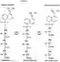 Fig. 03 - IDENTIFYING PEPTIDES AT THE SINGLE MOLECULE LEVEL