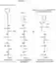 Fig. 04 - IDENTIFYING PEPTIDES AT THE SINGLE MOLECULE LEVEL