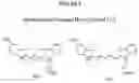 Fig. 09 - IDENTIFYING PEPTIDES AT THE SINGLE MOLECULE LEVEL