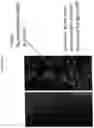 Fig. 15 - IDENTIFYING PEPTIDES AT THE SINGLE MOLECULE LEVEL