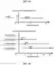 Fig. 05 - Detection of glucuronidated and 3-bromotyrosine