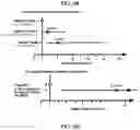 Fig. 08 - Detection of glucuronidated and 3-bromotyrosine