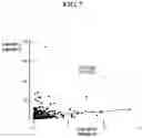 Fig. 10 - Detection of glucuronidated and 3-bromotyrosine