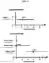 Fig. 12 - Detection of glucuronidated and 3-bromotyrosine