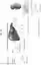 Fig. 13 - Detection of glucuronidated and 3-bromotyrosine