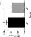 Fig. 04 - METHODS OF DIAGNOSING AND TREATING MULTIPLE SCLEROSIS WITH VASCULAR ENDOTHELIAL BIOMARKERS