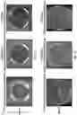 Fig. 10 - DRIED REAGENT POLYSACCHARIDE SURFACE AREA STABILIZATION