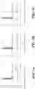 Fig. 03 - Glycan sample preparation