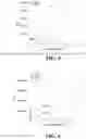 Fig. 05 - Glycan sample preparation