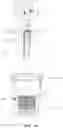 Fig. 23 - Lidless BGA socket apparatus for testing semiconductor device