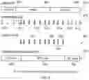 Fig. 09 - Location server, infrastructure equipment, communications device and methods for the use of supplementary positioning reference signals