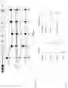 Fig. 07 - Apparatus for determining spatial positions of multiple audio sources