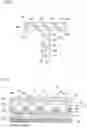 Fig. 05 - RETROREFLECTIVE SHEETING
