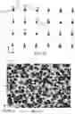 Fig. 12 - Sheet-form solid-state illumination device