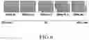 Fig. 06 - Optical film