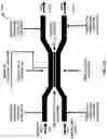 Fig. 05 - Fast optical switch and its applications in optical communication
