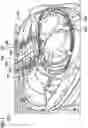 Fig. 02 - Optical fiber loop relaxation
