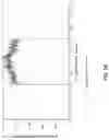 Fig. 61 - Laser systems and optical devices for laser beam shaping