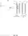 Fig. 09 - Polarization-agnostic optical dimming device and optical assembly including the same