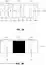 Fig. 04 - Multi-view display panel
