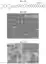 Fig. 02 - PI-D CONJUGATED COORDINATION POLYMER FOR ELECTROCHROMIC ENERGY STORAGE