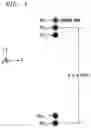 Fig. 04 - Optical switch employing a virtually imaged phase-array disperser