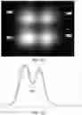 Fig. 14 - Curing a shaped film using multiple images of a spatial light modulator