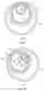 Fig. 10 - Two-Stage Speed Increaser Arrangement And Gear Train For A Clockwork