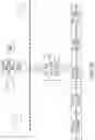 Fig. 33 - INTELLIGENT VIBRATION DIGITAL TWIN SYSTEMS AND METHODS FOR INDUSTRIAL ENVIRONMENTS