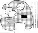 Fig. 01 - ROBOTIC VEHICLE WITH SAFETY MEASURES
