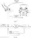 Fig. 06 - Slip sensation simulation apparatus and control system