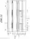 Fig. 12 - Touch display device
