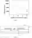 Fig. 02 - Touch structure, touch display panel and touch display device