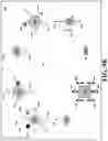 Fig. 92 - Apparatuses for attractive selection of objects in real, virtual, or augmented reality environments and methods implementing the apparatuses