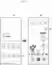 Fig. 14 - ELECTRONIC DEVICE WITH EXPANDABLE DISPLAY