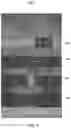 Fig. 10 - MOBILE DEVICE MERCHANT AVAILABILITY INTERFACE