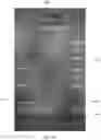 Fig. 18 - MOBILE DEVICE MERCHANT AVAILABILITY INTERFACE