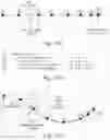 Fig. 19 - Method and system for ink data generation, ink data rendering, ink data manipulation and ink data communication