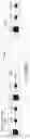 Fig. 47 - Method and system for ink data generation, ink data rendering, ink data manipulation and ink data communication