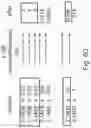 Fig. 87 - Method and system for ink data generation, ink data rendering, ink data manipulation and ink data communication