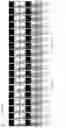 Fig. 31 - Display substrate and display device