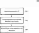 Fig. 01 - Rule-based scoring for APIs